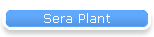 Sera Plant