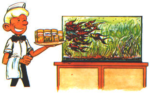 alimentaz_019.jpg (23121 byte)