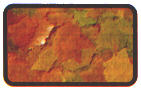 alimentaz_020.jpg (4827 byte)