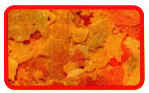 alimentaz_024.jpg (14368 byte)