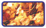 alimentaz_026.jpg (16191 byte)