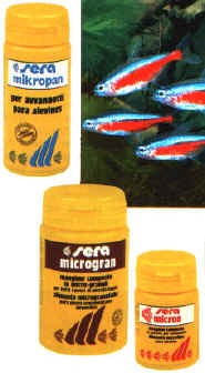 alimentaz_048.jpg (29888 byte)