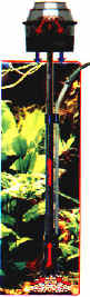 filtraggio_032.jpg (15963 byte)