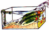 filtraggio_036.jpg (17442 byte)