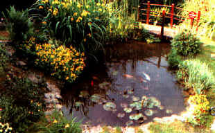 lagh_cost_004.jpg (55953 byte)