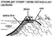 lagh_cost_008.jpg (12922 byte)