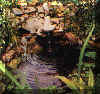 lagh_cost_010.jpg (17953 byte)