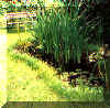 lagh_cost_011.jpg (20895 byte)