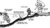 lagh_cost_012b.jpg (38698 byte)