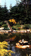 lagh_cost_014.jpg (51669 byte)