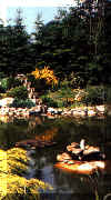 lagh_cost_014.jpg (51669 byte)