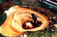lagh_cost_027.jpg (16266 byte)