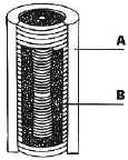 lagh_cost_039.jpg (9398 byte)