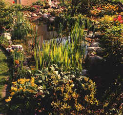 lagh_cost_046.jpg (106285 byte)