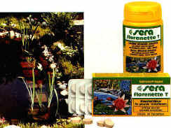 lagh_cost_061.jpg (50899 byte)
