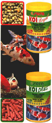 lagh_cost_066.jpg (76514 byte)