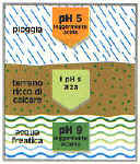 lagh_cura_031.jpg (16298 byte)