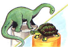 rettili002.jpg (21623 byte)