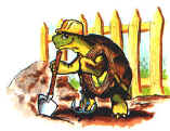 rettili005.jpg (18141 byte)