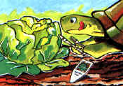 rettili006.jpg (21078 byte)