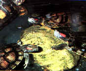 rettili009.jpg (18808 byte)