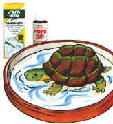 rettili015.jpg (26271 byte)