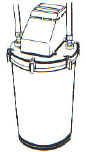 rettili025.jpg (8603 byte)