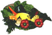 rettili030.jpg (11095 byte)