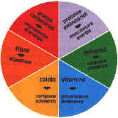 rettili031.jpg (16406 byte)
