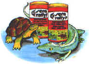 rettili035.jpg (19840 byte)