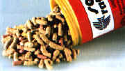 rettili036.jpg (12711 byte)