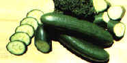 rettili046.jpg (8951 byte)