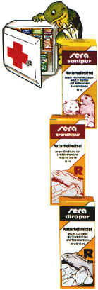 rettili050.jpg (41386 byte)