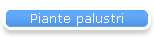 Piante palustri