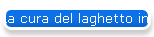 La cura del laghetto in ogni stagione