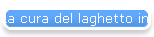 La cura del laghetto in ogni stagione