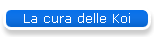 La cura delle Koi