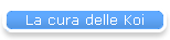 La cura delle Koi