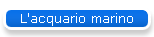 L'acquario marino