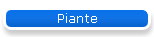 Piante