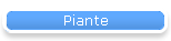 Piante