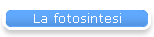 La fotosintesi