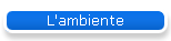 L'ambiente