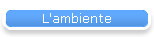 L'ambiente