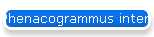 Phenacogrammus interruptus